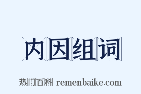 内因组词是什么意思的图片